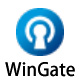 WinGatev9.4.1
