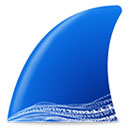 Wireshark Portablev4.4.6