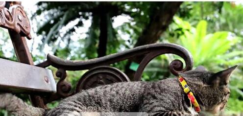 稀点展厅播放器